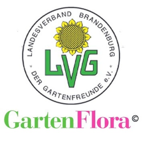 Verbandsinformationen Brandenburger GartenFlora 03/2024